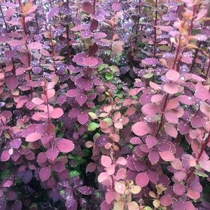 Meet your Posher, Kaleigh